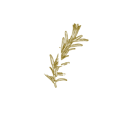 Salve